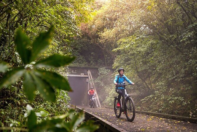 Scenic Spooners Tunnel Adventure in Nelson Tasman - A Quick Look at the Experience