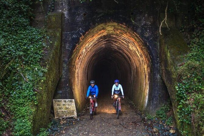 Scenic Spooners Tunnel Adventure in Nelson Tasman - The Main Attraction: Spooners Tunnel