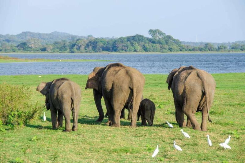 Scenic Sri Lanka 4-day tour - What’s Included and What’s Not