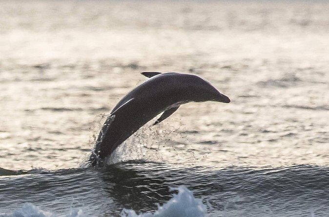 Scenic Sunset Cruise from Historic Johns Pass, Free Beer and Wine - FAQ: Practical Questions for Future Travelers