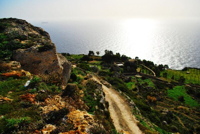 Scenic Tour by Vintage Bus to Buskett Garden & Dingli Cliffs - Key Points
