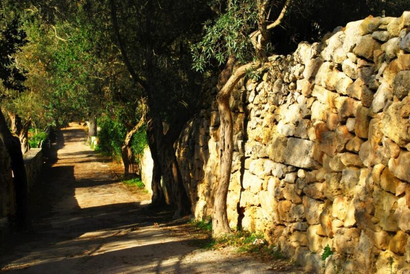 Scenic Tour by Vintage Bus to Buskett Garden & Dingli Cliffs - Final Thoughts: Is This Tour for You?