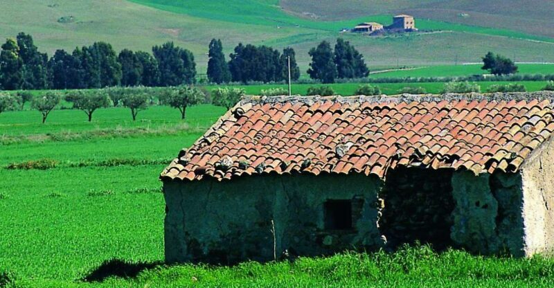 Scenic Tour of Etna foot hills and Alcantara Gorges - Key Points