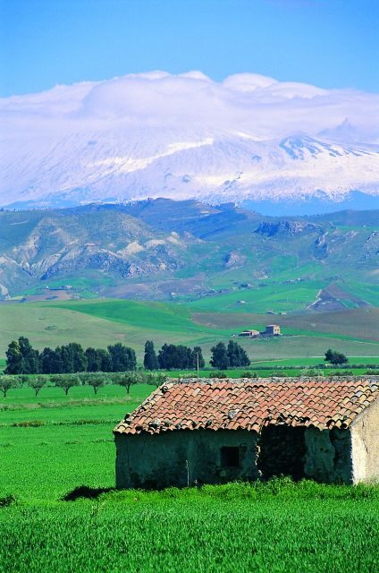 Scenic Tour of Etna foot hills and Alcantara Gorges - Who Would Enjoy This Tour?