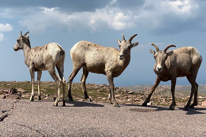 Scenic Tour of the Pikes Peak Highway - Final Thoughts