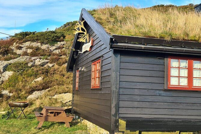 Scenic tour to Steinsfjellet, locals at Kringsjå & Rising Tide - Who Will Love This Tour?