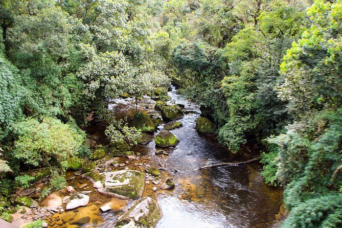 Scenic Train ride to historical cities of Morretes and Antonina - Key Points