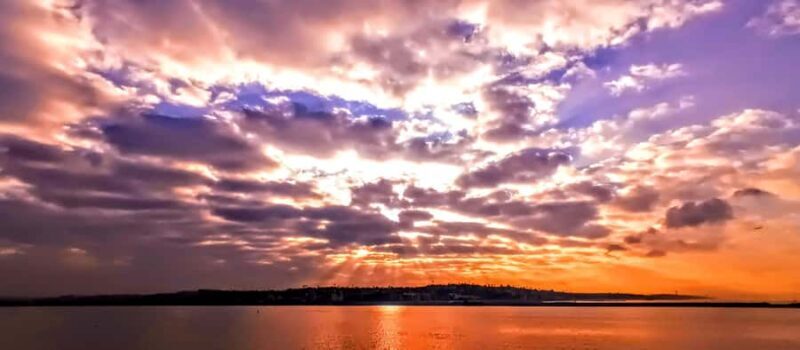 Scenic Wildlife Boat Cruise & Wine with a local Artist - Key Points: