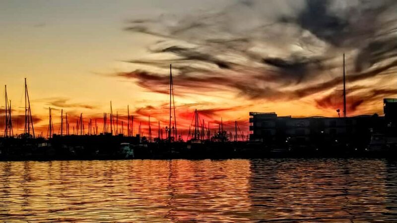 Scenic Wildlife Boat Cruise & Wine with a local Artist - Who Will Enjoy This Tour?