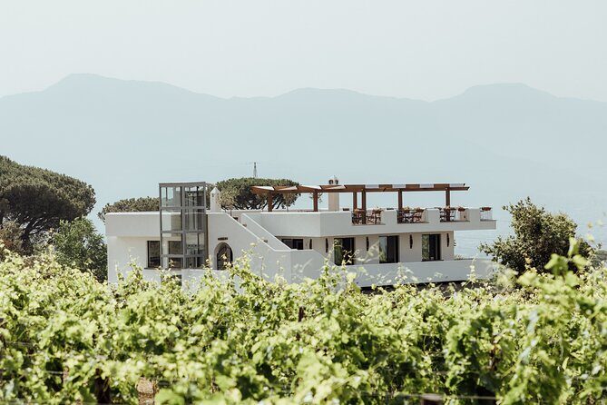 Scenic Wine Tasting & Lunch on the Slopes of Vesuvius from Naples - Key Points