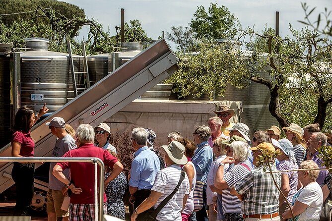 Scenic Wine Tasting & Lunch on the Slopes of Vesuvius from Naples - FAQ: Your Practical Questions Answered