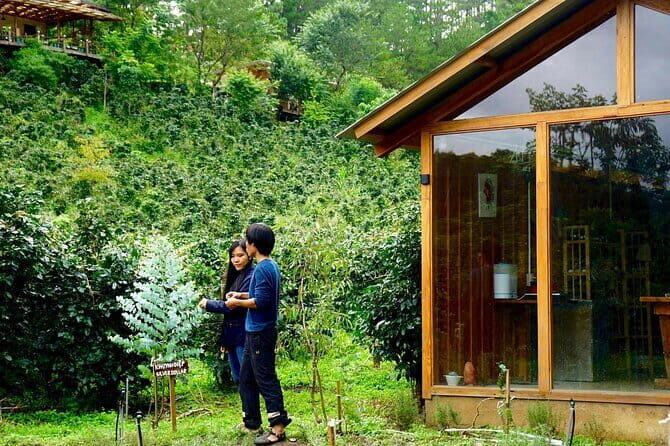 Scented Candle Workshop in Twin Beans Farm Da Lat - Final Thoughts: Who Is This Tour Perfect For?