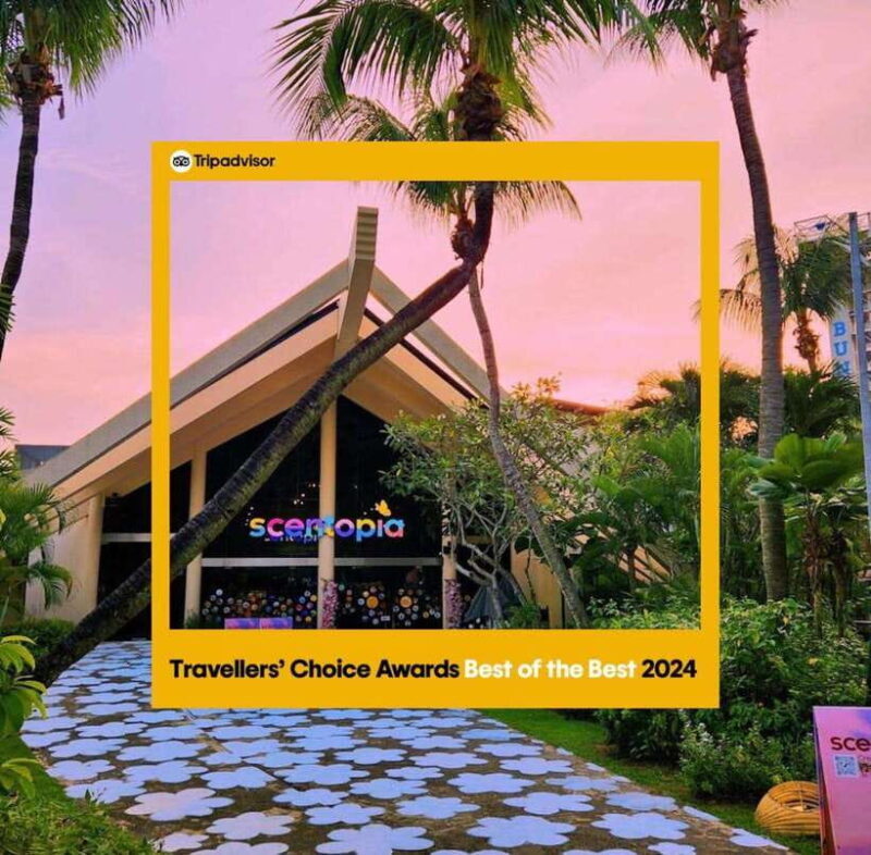 Scentopia - 100ml Scent crafting with Rainforest orchids - An In-Depth Look at Scentopia’s Unique Offerings