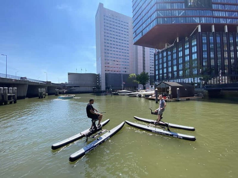 Schiller Water Bike Rental in Maritime District Rotterdam - Exploring Rotterdam’s Maritime District on a Water Bike