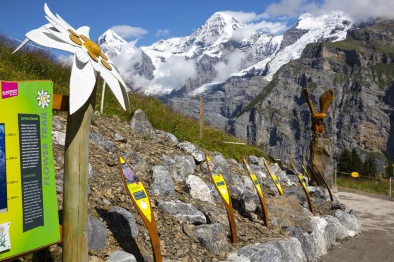 Schilthorn Day Trip and Bond World 007 from Geneva - FAQs