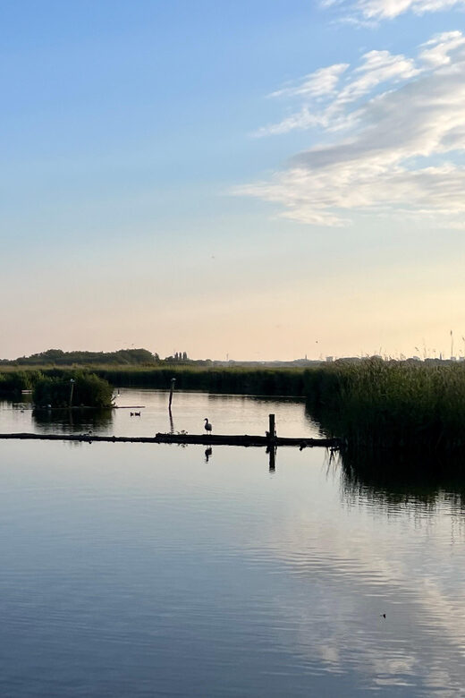 Schipluiden: Private Boat Tour to Rotterdam - A Deep Dive into the Experience