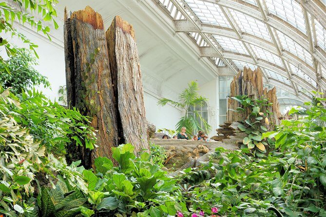 Schmetterlinghaus - Imperial Butterfly House Vienna Admission Ticket - A Detailed Look at the Butterfly Experience in Vienna