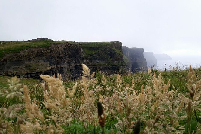 Scogliere di moher e Galway in italiano - In-Depth Review of the Tour Experience