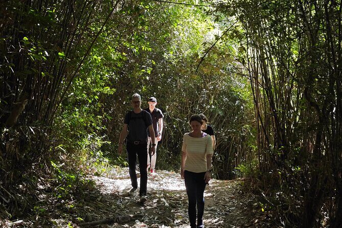 scooter and hiking trip in the rainforest - Key Points