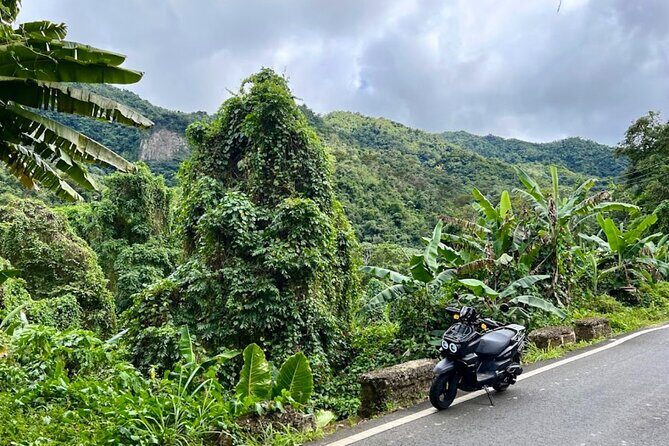 Scooter Rental San Juan Puerto Rico - Who Is This Tour Perfect For?
