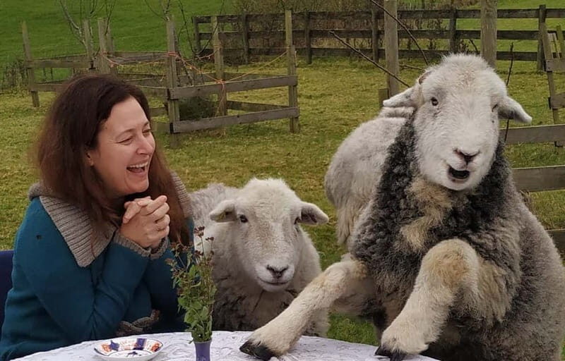 Scotland: Relaxation Retreat with Naughty Sheep - A Relaxing and Fun Highland Experience in a Unique Setting