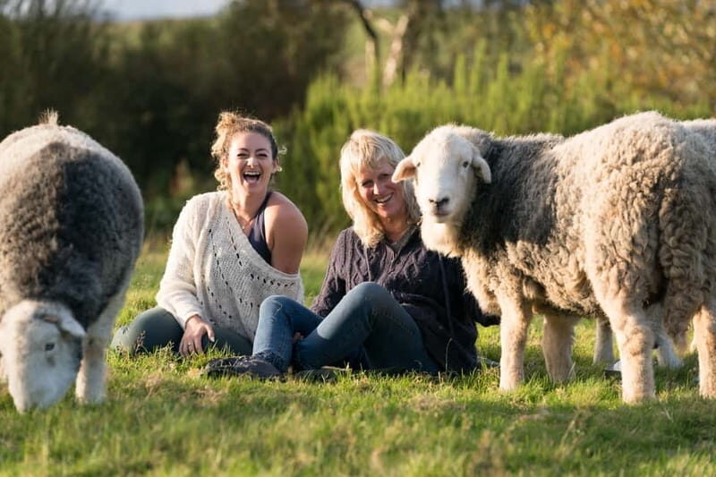 Scotland: Relaxation Retreat with Naughty Sheep - The Breakdown of the Day
