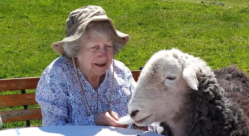 Scotland: Relaxation Retreat with Naughty Sheep - Who Should Consider This Tour?