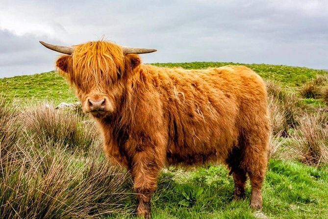 Scotland Tours - FAQ