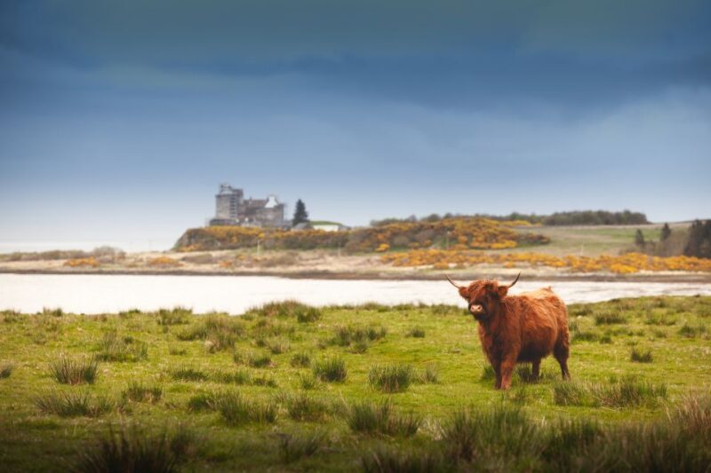 Scotland: West Highlands, Mull and Iona 4-Day Tour - Considerations and Who Will Love This Tour