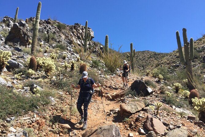 Scottsdale Desert Classic Guided Hiking Adventure - Scottsdale Desert Classic Guided Hiking Adventure: A Deep Dive into the Sonoran Wilderness