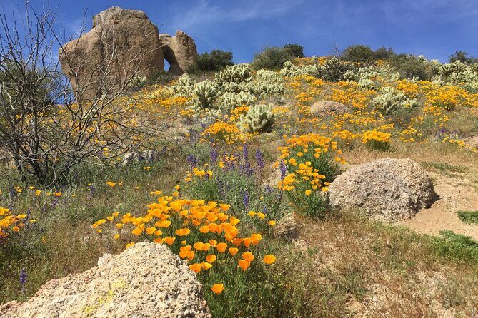 Scottsdale Desert Classic Guided Hiking Adventure - Practical Tips for Your Hike