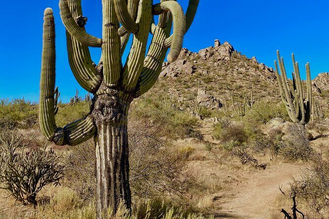 Scottsdale Desert Classic Guided Hiking Adventure - The Sum Up: Is This the Right Adventure for You?