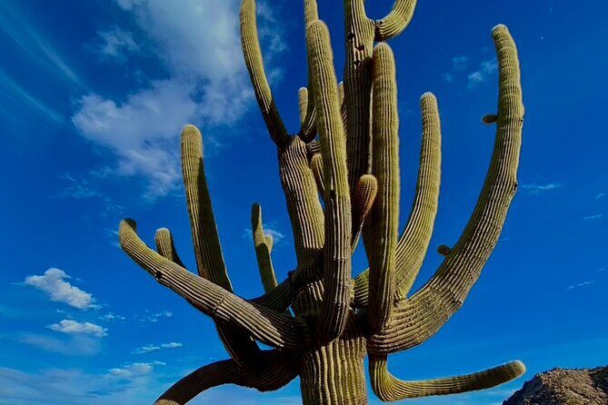 Scottsdale Desert Classic Guided Hiking Adventure - FAQ
