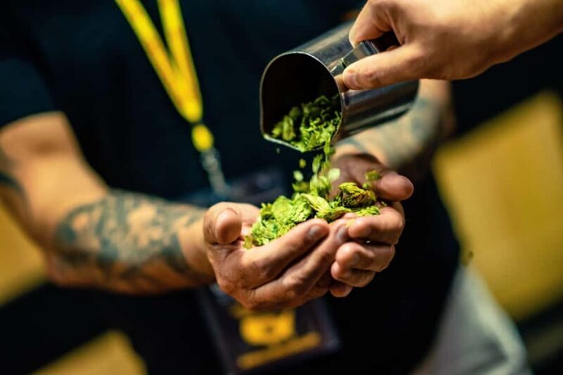 Scottsdale: Original Brew Tour with Beer Tastings and Snack - FAQ