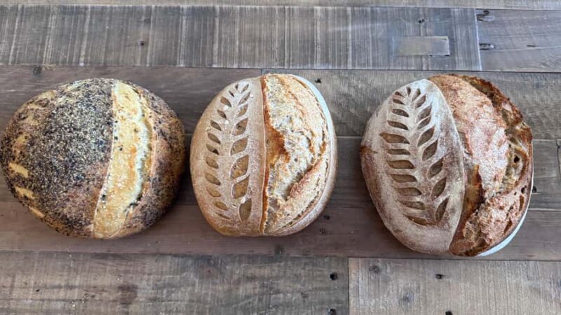 Scottsdale: Sourdough Bread Workshop with Tasting - Key Points