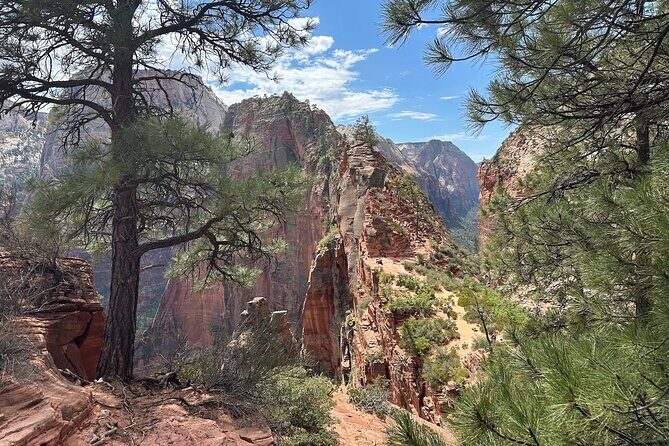 Scout Lookout: Small Group Guided Hike Zion Canyon - Experience the Beauty of Zion Canyon on a Guided Hike to Scout Lookout