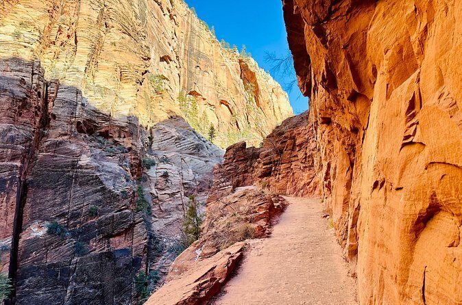 Scout Lookout: Small Group Guided Hike Zion Canyon - Who Should Consider This Tour?