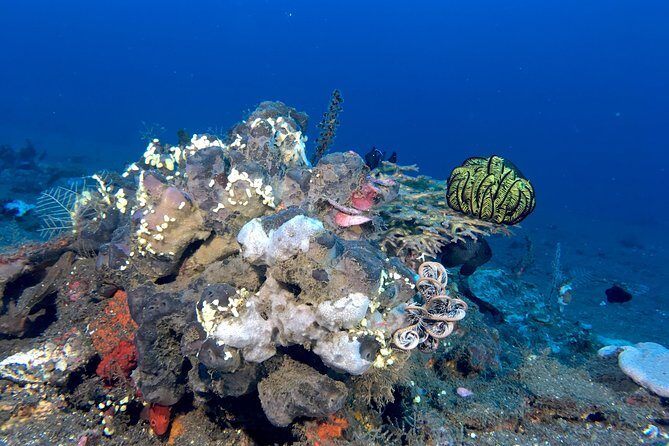 Scuba Certification - Final Thoughts