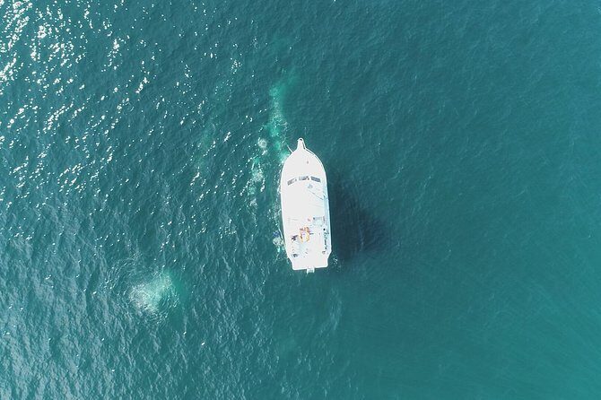 Scuba Certification - FAQs