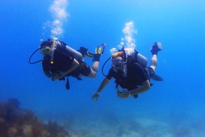 Scuba Certified Diving Immersion at Maroma Beach (1 or 2 tanks) - Key Points