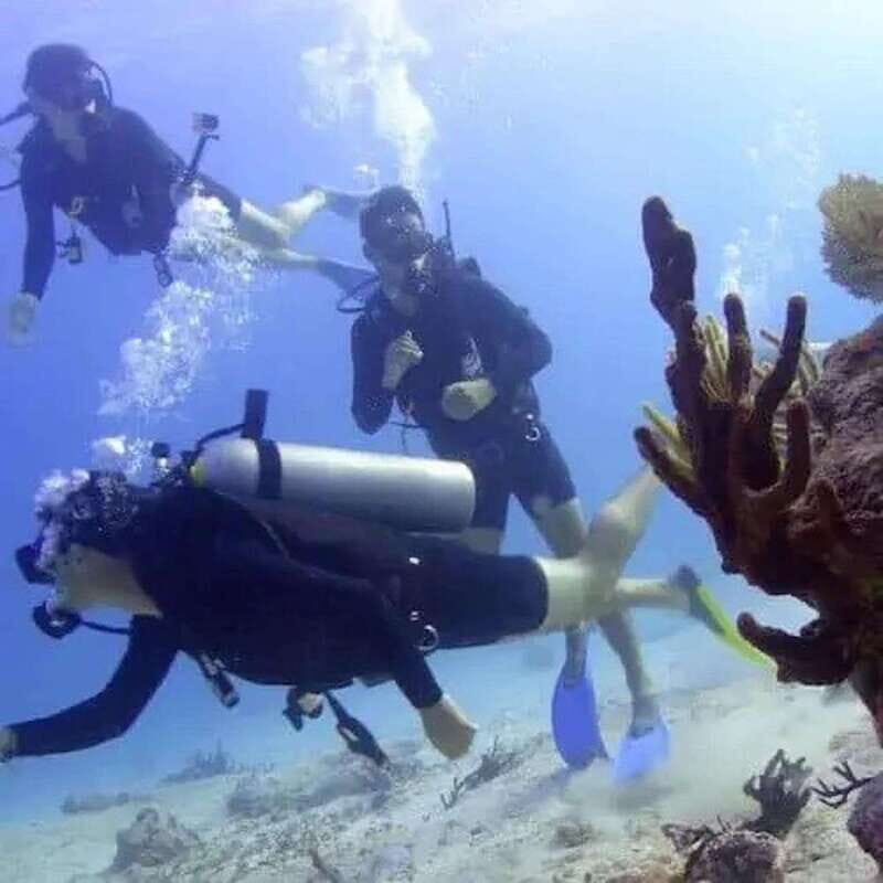 Scuba Cozumel: Experience from Boat, for Certified Divers - Frequently Asked Questions