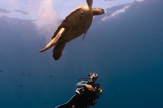 Scuba Dive at Electric Beach - Frequently Asked Questions