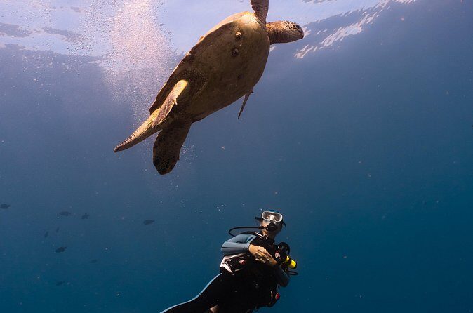 Scuba Dive at Electric Beach - Final Thoughts: Who Will Love This Experience?