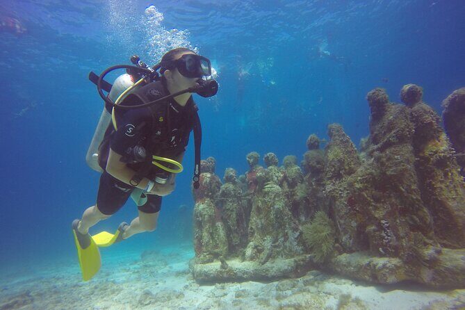 Scuba Dive at Musa Cancun for Certified Divers - An In-Depth Look at the Musa Cancun Experience