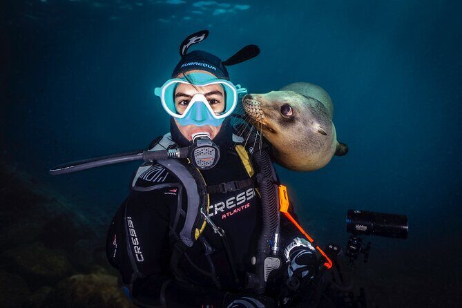 Scuba Dive in La Paz: Sea Lions, Turtles, Fish Schools and Wrecks - Frequently Asked Questions