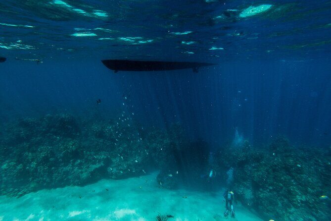 Scuba Dive in the West End of Roatan with Private Transfer - Who Is This Tour Best Suited For?