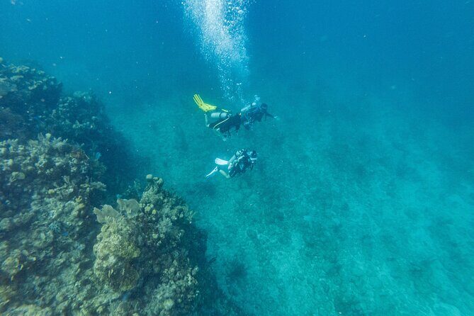 Scuba Dive in the West End of Roatan with Private Transfer - Final Thoughts