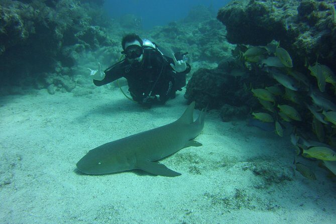 SCUBA Dive Key Largo Reef (min 6 divers) - Key Points