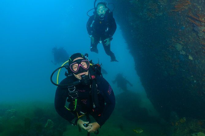 Scuba Dive The Beautiful Rottnest Island for Certified divers - Experience Rottnest Island’s Underwater World with Certified Scuba Diving