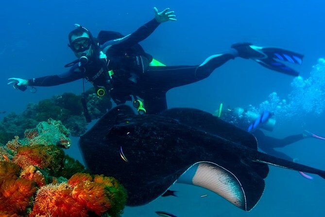 Scuba Dive the S.S. Yongala Wreck on the Great Barrier Reef. - FAQs